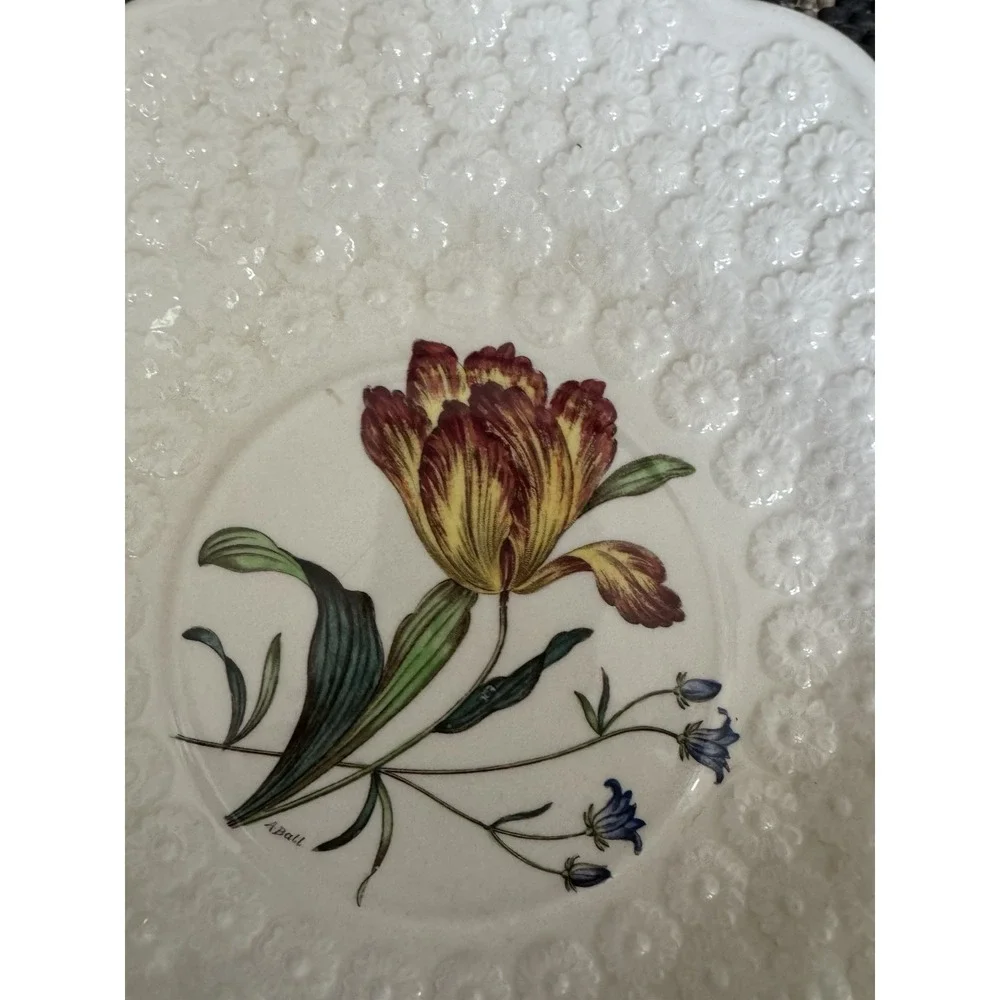 Vintage Copeland Spode Tulip No. 5 Plate Made in England 9 1/8